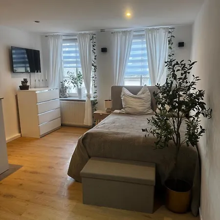 Bg Living & Hosting - Stilvolles Im Herzen Der Stadt - Wlan Inklusive Trier